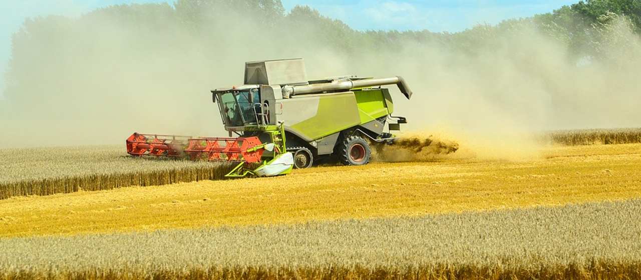 Fermierii români cer control mai strict pentru cerealele ucrainene. Răzvan Botea: „Vor să se stabilească exact câte cereale intră și ies din România”