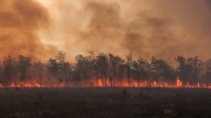 Un miliardar a scris un ghid de combatere a schimbărilor climatice. Când va fi lansată cartea „Cheaper, Faster, Better: How We’ll Win the Climate War”