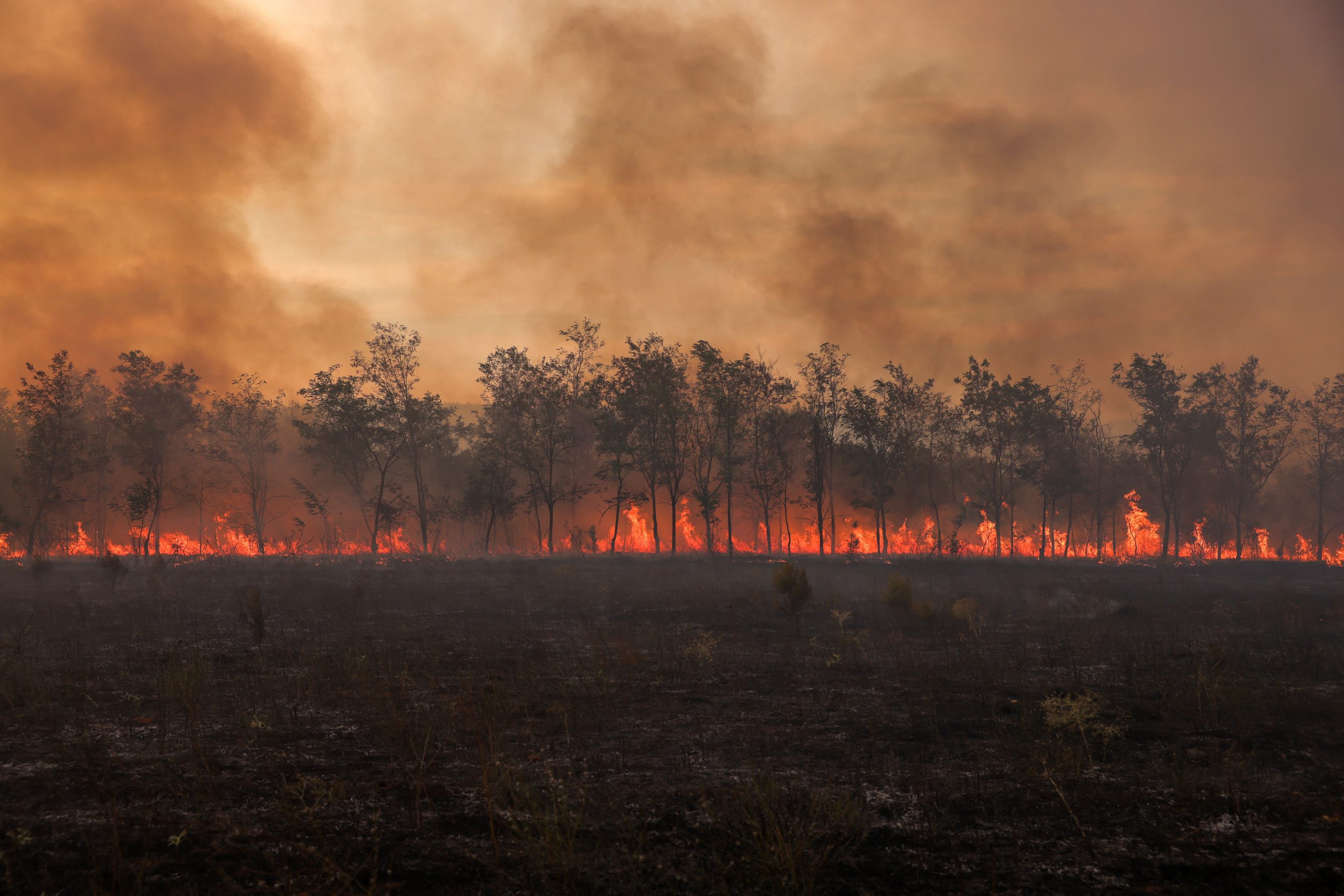 Un miliardar a scris un ghid de combatere a schimbărilor climatice. Când va fi lansată cartea „Cheaper, Faster, Better: How We’ll Win the Climate War”