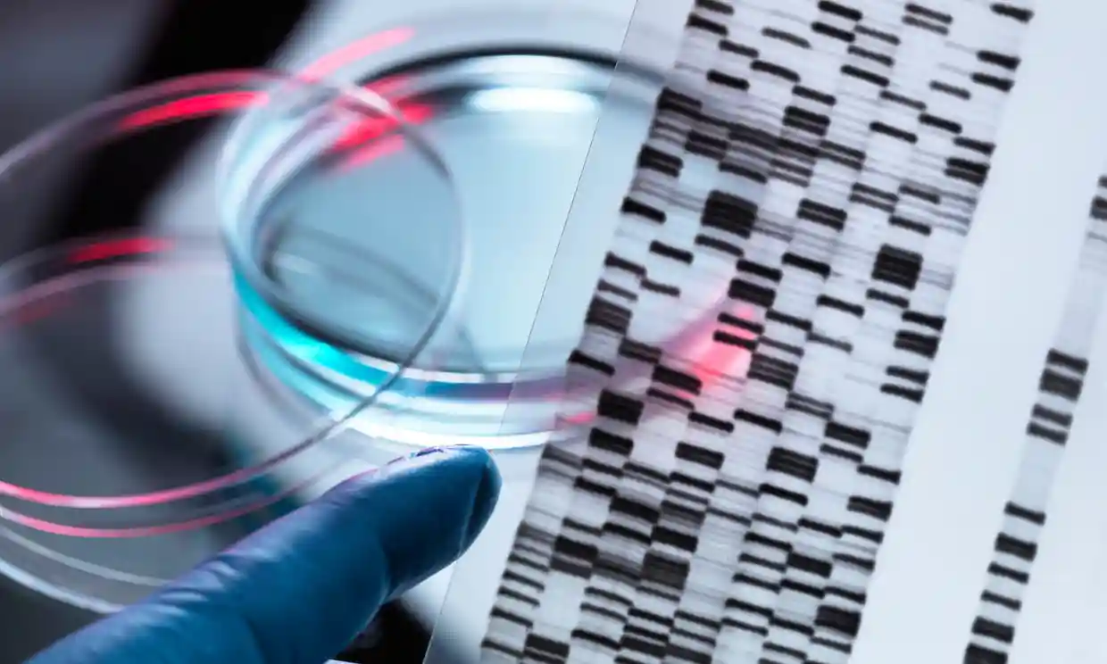 Laureații Premiului Nobel solicită UE să relaxeze normele privind modificarea genetică