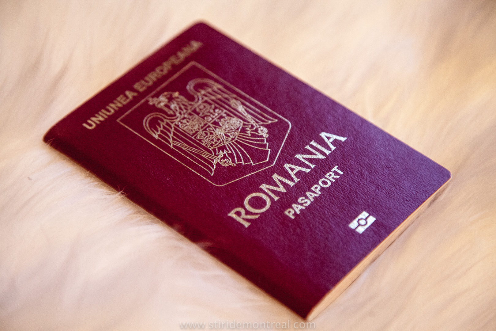 România e pe locul 14 în topul țărilor cu cel mai puternic pașaport din lume