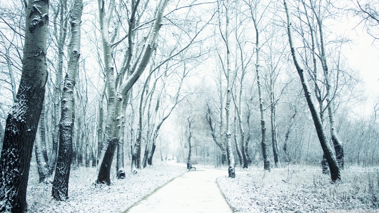 Vremea în România. Urmează două zile călduroase cu maxime de până la 15 grade