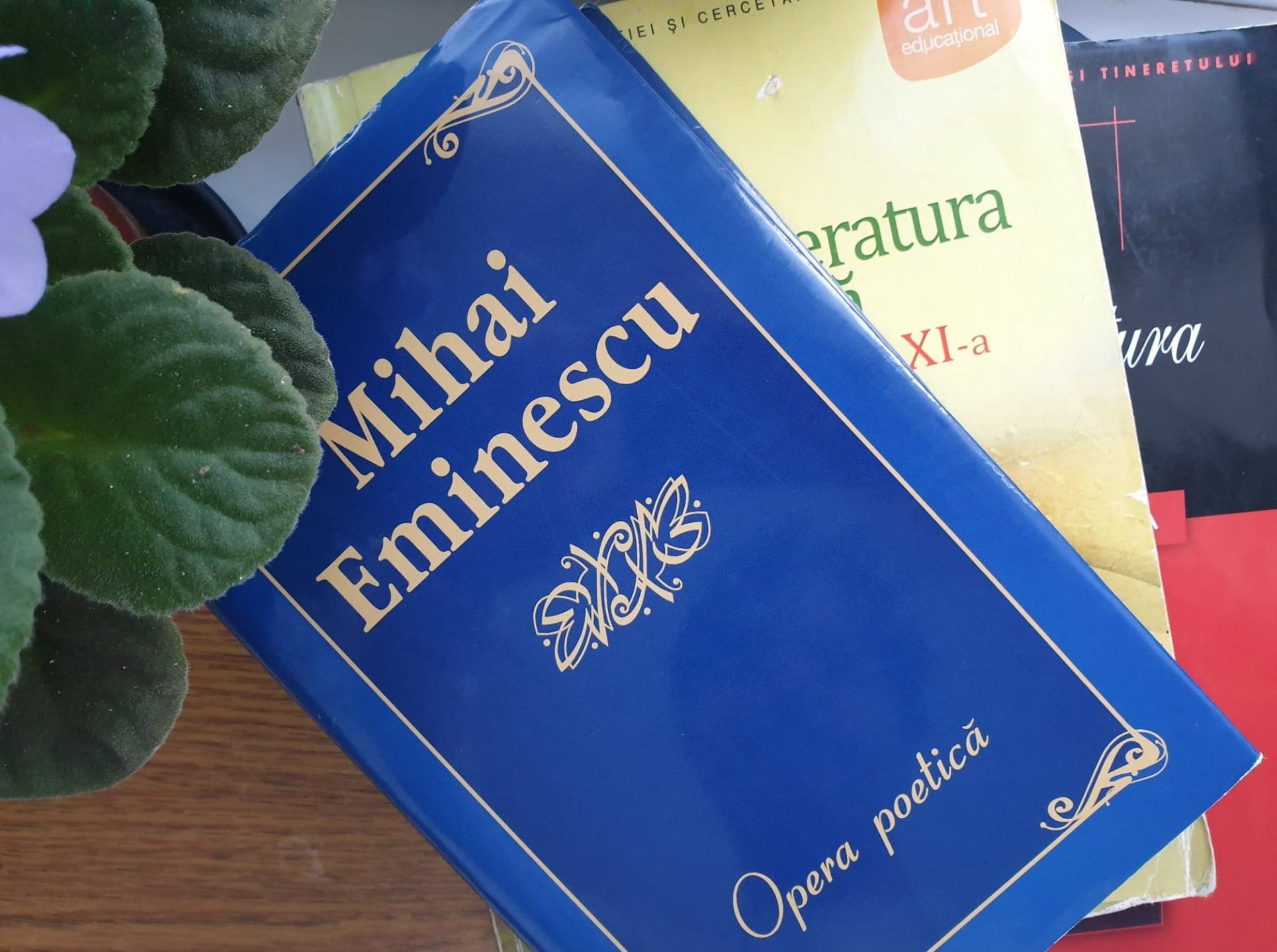 ”Nu noi suntem stăpâni limbei, ci limba e stăpâna noastră”.  Cum influențează încă Eminescu programa școlară?