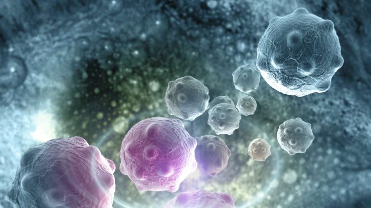 Proteina care ajută la răspândirea rapidă a cancerului. Cercetătorii trag un semnal de alarmă