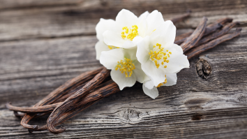 Cum a polenizat Edmund vanilia? Floarea a fost cultivată pentru prima dată de poporul Totonac