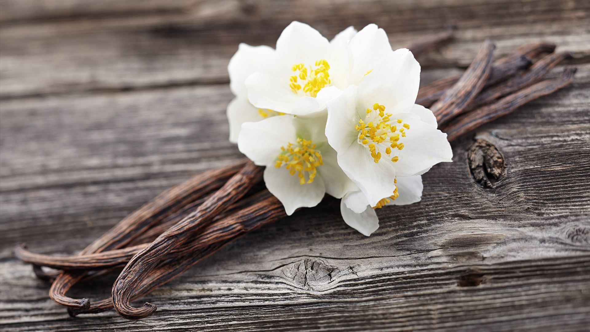 Cum a polenizat Edmund vanilia? Floarea a fost cultivată pentru prima dată de poporul Totonac