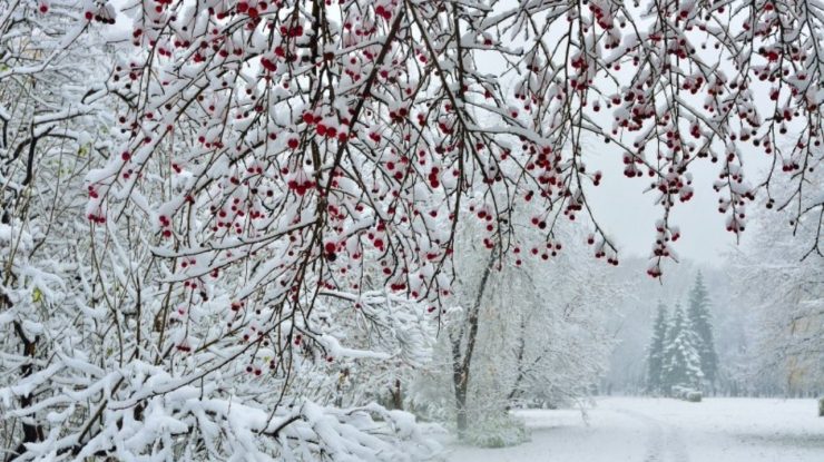 Cum va fi vremea în perioada următoare? Prognoza meteo pentru patru săptămâni