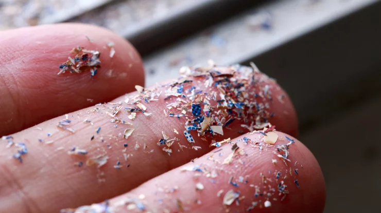 STUDIU. Microplastic găsit în fiecare placentă umană testată. Ce efecte are asupra sănătății?