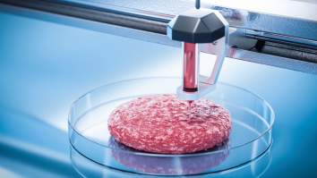 Un startup spaniol de tehnologie își propune să pună carne imprimată 3D în farfuriile oamenilor