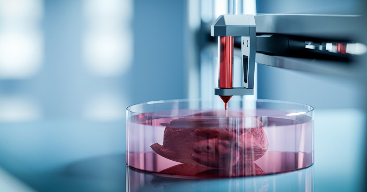 Organe umane imprimate 3D. Metoda ar putea rezolva criza transplantului de organe