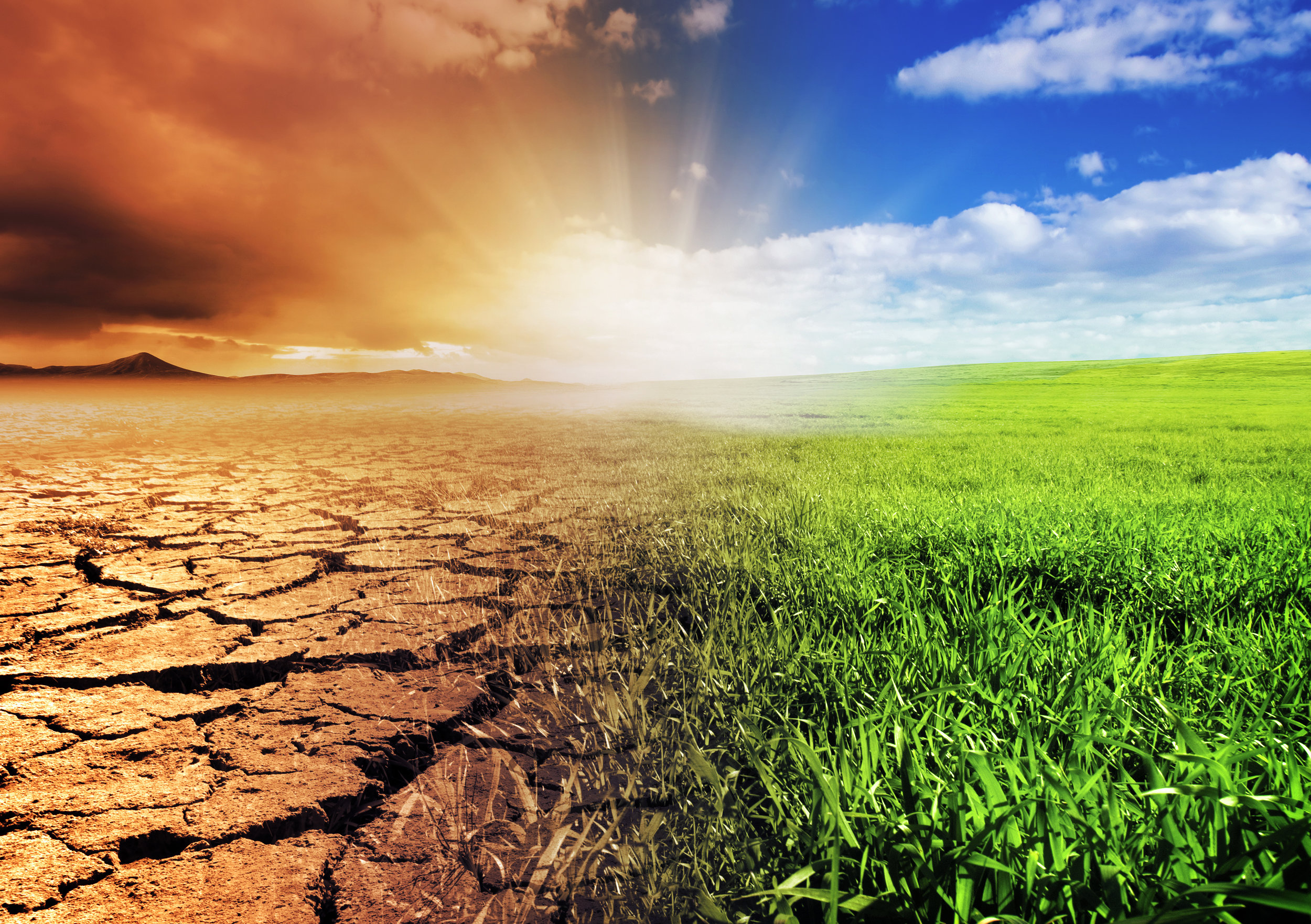 STUDIU. 69% din populația lumii ar plăti 1% din venitul lor pentru combaterea schimbărilor climatice