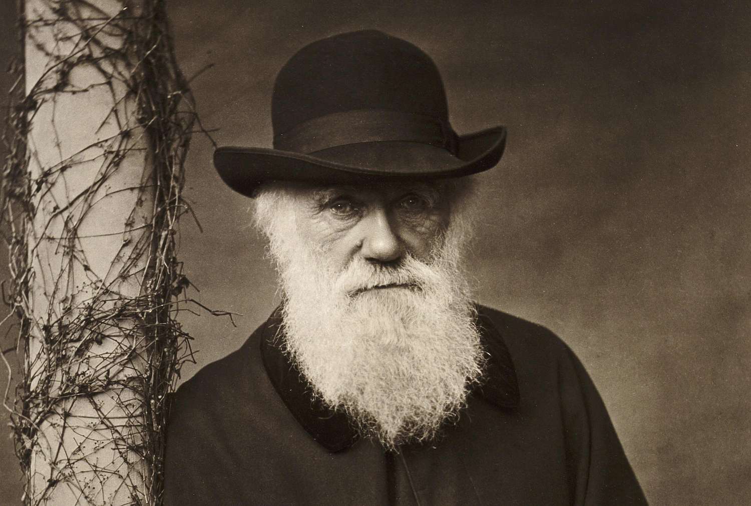 Descoperirea uluitoare a bibliotecii pierdute a lui Charles Darwin. A fost reasamblată virtual pentru prima dată după moartea sa în 1882
