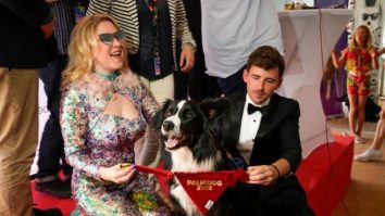 Câinele Messi se pregătește pentru Premiile Oscar. L-a cucerit chiar și pe Ryan Gosling