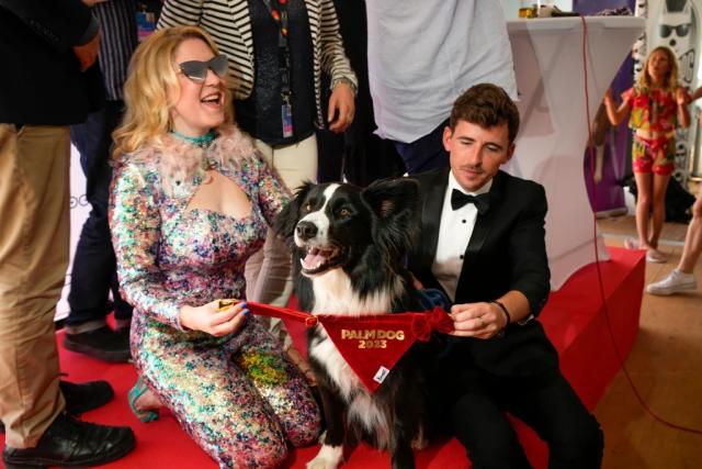Câinele Messi se pregătește pentru Premiile Oscar. L-a cucerit chiar și pe Ryan Gosling