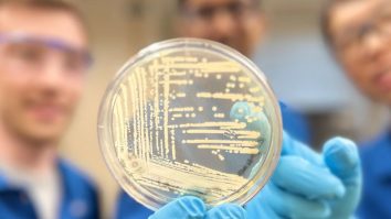 Harvard a dezvoltat un nou antibiotic sintetic. Cresomicina ar putea salva milioane de oameni de infecțiile mortale