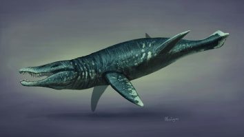 Attenborough și Jurassic Sea Monster: Monstrul marin a fost reconstruit în detaliu. Ce spun cercetătorii despre această descoperire?