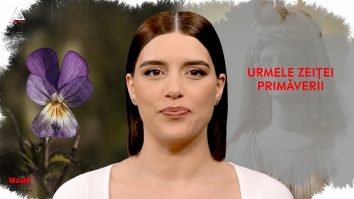 Un vârf de… toporași