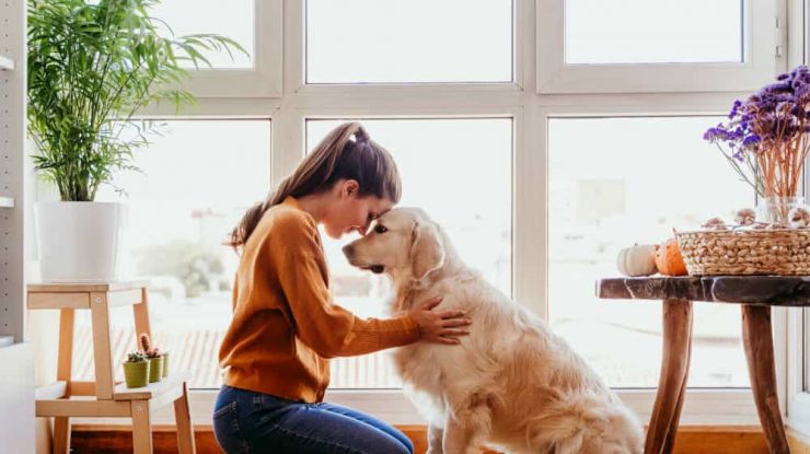 Femeile preferă animalele. Ce le-a îndemnat să ia această decizie?