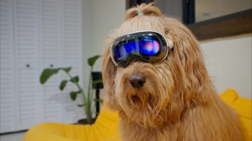 Câinele Brodie și youtuber-ul Cliff au testat noile căști Apple Vision Pro