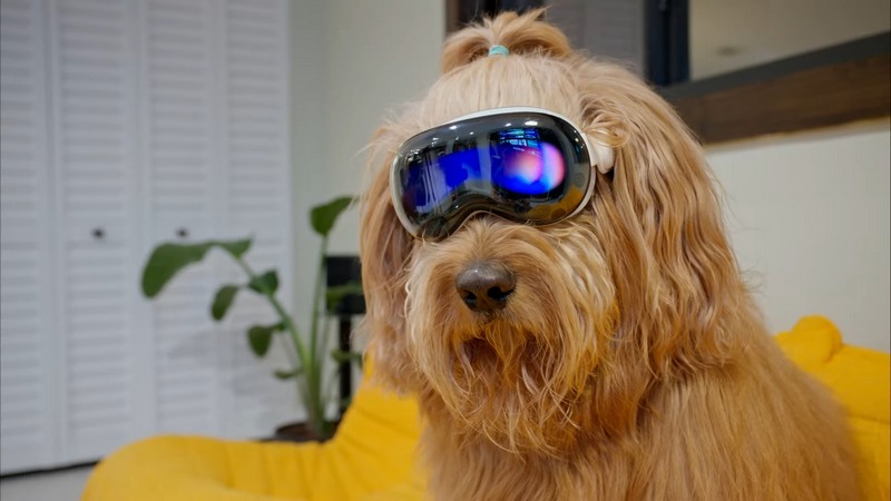 Câinele Brodie și youtuber-ul Cliff au testat noile căști Apple Vision Pro