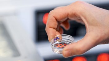 Alabama susține că embrionii congelați sunt copii