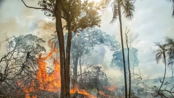 „Plămânii Planetei” suferă. În 2023, 10 milioane de hectare din pădurea tropicală din Brazilia erau în flăcări