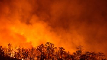 Schimbările climatice duc din ce în ce mai des la incendii de pădure. Octavian Berceanu: „Vom avea ani cu zăpadă din ce în ce mai puțină, cu excese de căldură”