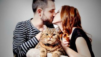 Persoanele care au pisici înainte de 25 de ani riscă să dezvolte schizofrenie și alte boli mintale. Ce arată datele unui nou studiu