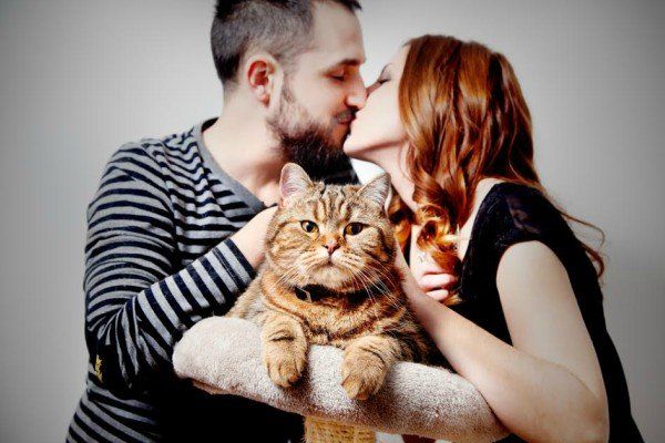 Persoanele care au pisici înainte de 25 de ani riscă să dezvolte schizofrenie și alte boli mintale. Ce arată datele unui nou studiu