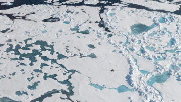 Biologul marin Paulo Tigreros caută microplastice în Antarctica. Cum îți afectează acestea sănătatea?