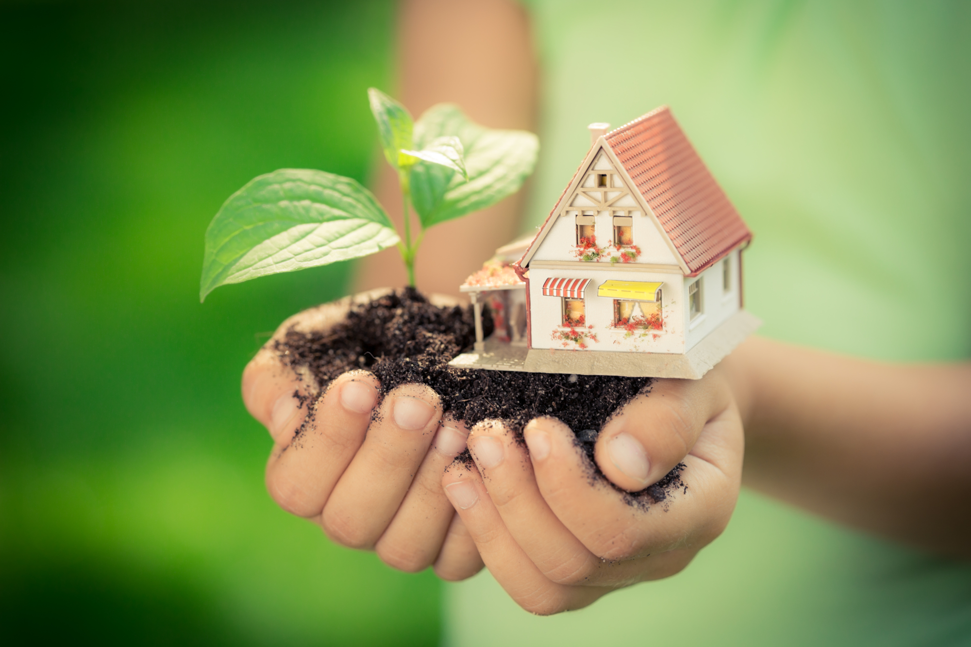 Ai vrea să stai într-o casă eco-friendly? Livia Popescu: „Cei care aleg o astfel de locuință plătesc mai puțin pentru încălzire, răcire și apă caldă”