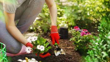 Cum te ajută un hobby? Studiile evidențiază beneficiile terapeutice ale grădinăritului