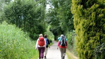 Plimbările în natură îmbunătăţesc semnificativ controlul executiv al creierului. Cum te ajută în luarea deciziilor