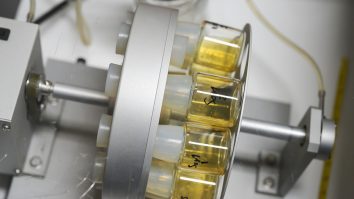 Modele de organe construite cu celule din fetuși vii. Ce spun experții despre această descoperire revoluționară?