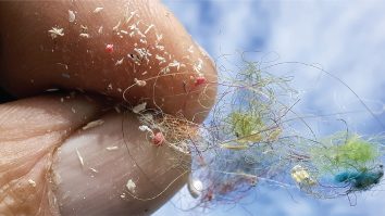 Medicii au găsit microplastice în arterele oamenilor. Prezența lor a fost legată de un risc mai mare de boli de inimă