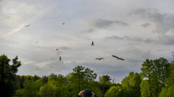 Meteorologii anunţă temperaturi blânde pentru următoarele patru săptămâni