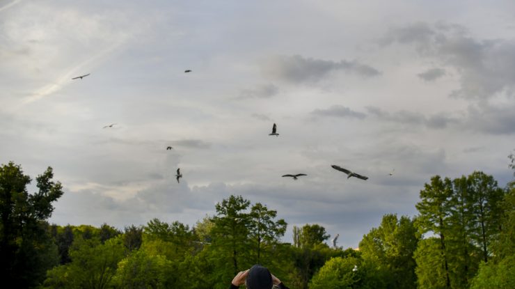 Meteorologii anunţă temperaturi blânde pentru următoarele patru săptămâni