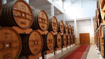 Republica Moldova produce vin creat de A.I. Din ce este compus „Chelaris”