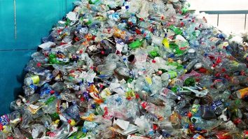 Tu cât ai reciclat în 2024? Peste 3 miliarde de ambalaje SGR au fost reciclate anul acesta