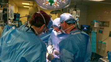 Premieră medicală: Un american a primit primul transplant de rinichi de porc. Chirurgii spun că este un avans semnificativ în Medicină