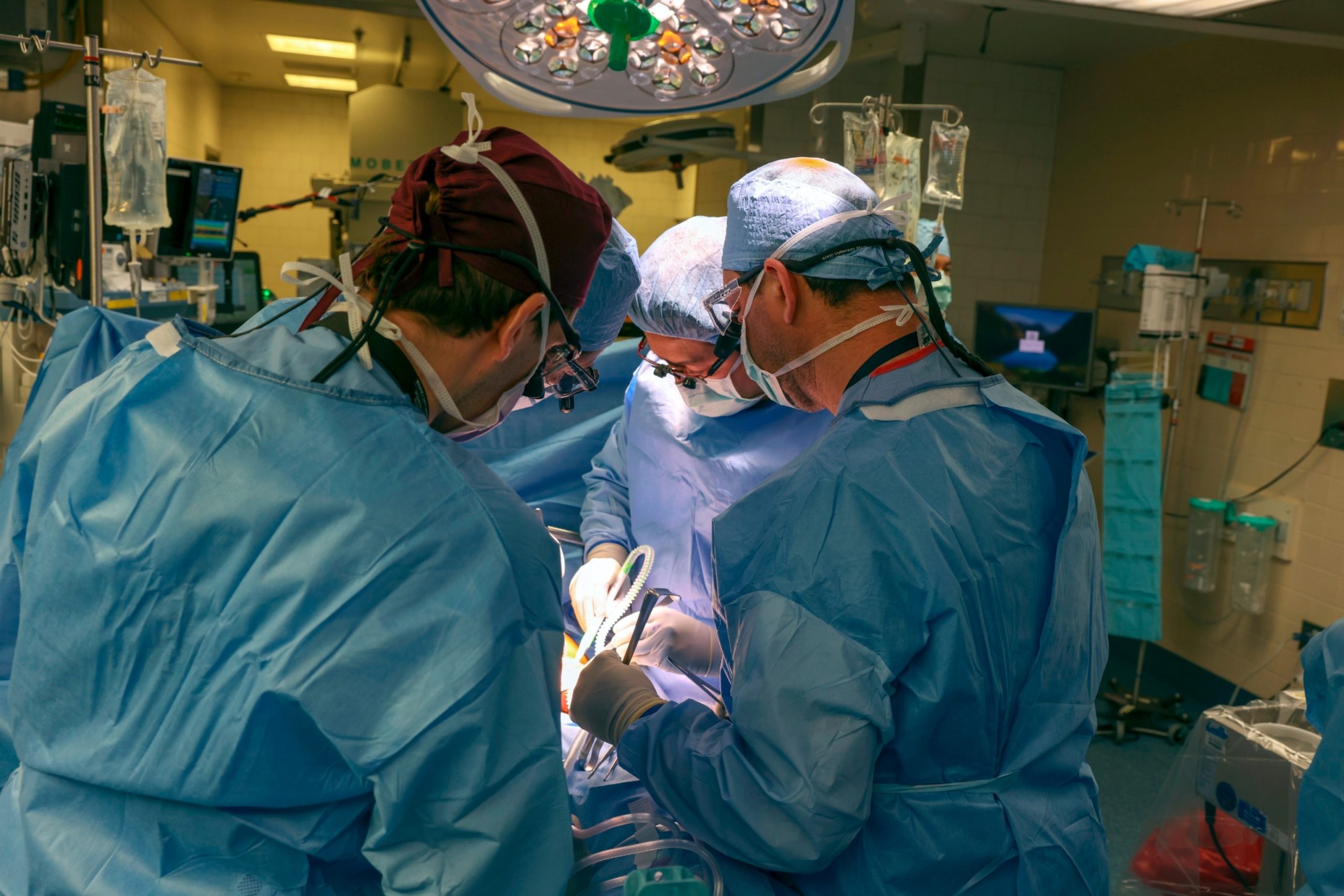 Premieră medicală: Un american a primit primul transplant de rinichi de porc. Chirurgii spun că este un avans semnificativ în Medicină