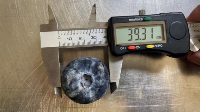 Afinele cultivate în Australia doboară recordul Guinness ca fiind cele mai grele din lume. Fructul cântărește 20,4 g