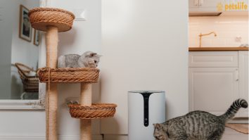 Dispozitive inteligente pentru animalele de companie sunt prezentate la PetExpo, în weekend. Cum pot fi acestea de ajutor