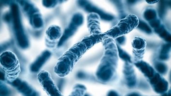 Premieră în România. La Timișoara va avea loc, în weekend-ul 8-10 martie, primul hackathon în domeniul biologiei sintetice din țara noastră