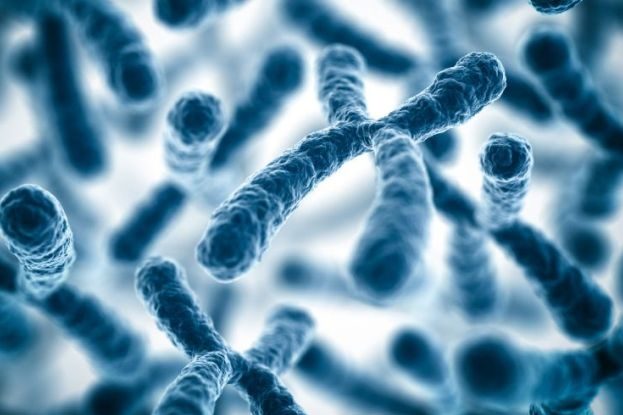 Premieră în România. La Timișoara va avea loc, în weekend-ul 8-10 martie, primul hackathon în domeniul biologiei sintetice din țara noastră