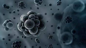 STUDIU. Cum s-au format primele celule?