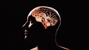 STUDIU. Creierul tău poate înțelege un text în 125 de milisecunde. Cât de rapid procesezi imaginile