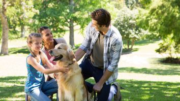 Nivelul stresului scade atunci când mângâi un câine. Ce efecte benefice are un animal de companie asupra stăpânului