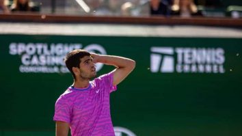 VIDEO. Meci suspendat între Zverev și Alcaraz la Indian Wells. Jucătorii au fost atacați de mii albine în timpul meciului