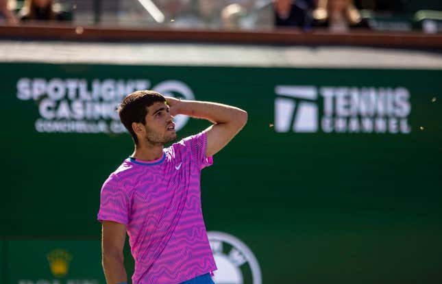 VIDEO. Meci suspendat între Zverev și Alcaraz la Indian Wells. Jucătorii au fost atacați de mii albine în timpul meciului